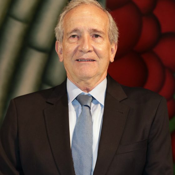 Fernando Pimentel, presidente da Abit